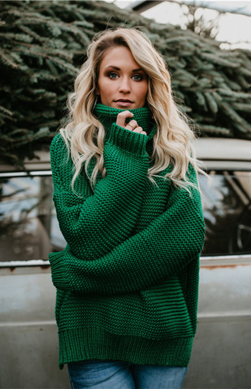 Woman Knit Long Sleeves High Neck Sweater