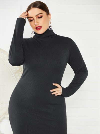 Women's Knit Turtleneck Long Sleeve Dress
