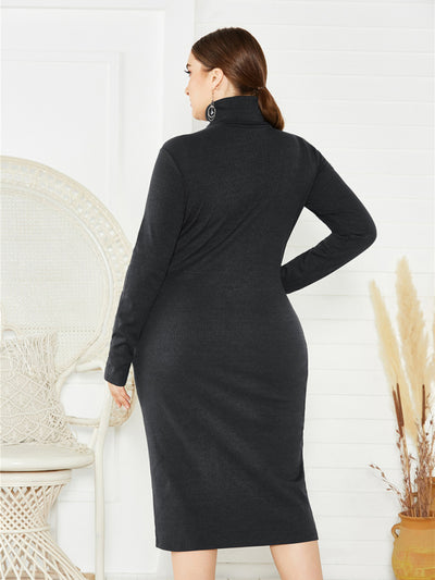 Women's Knit Turtleneck Long Sleeve Dress