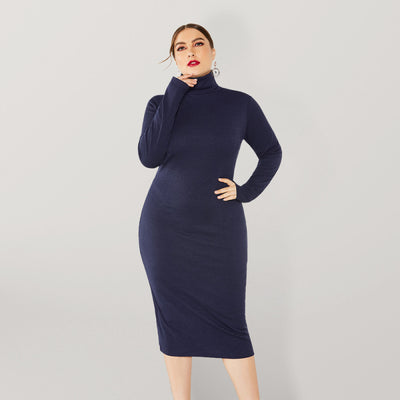 Women's Knit Turtleneck Long Sleeve Dress