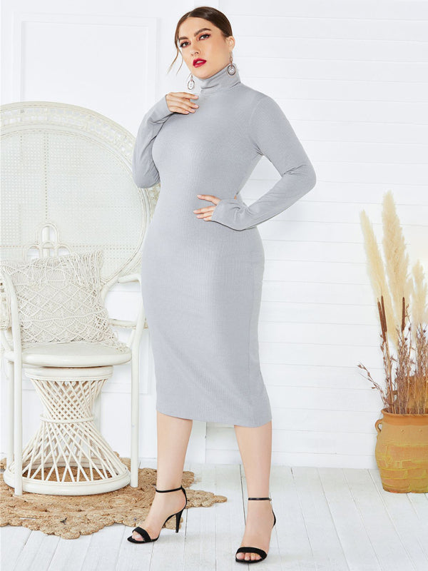 Women's Knit Turtleneck Long Sleeve Dress