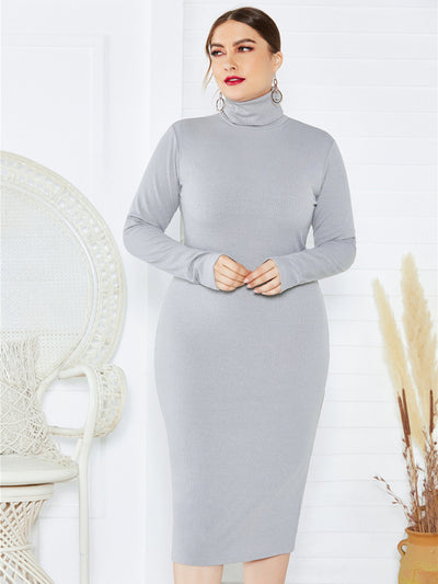 Women's Knit Turtleneck Long Sleeve Dress