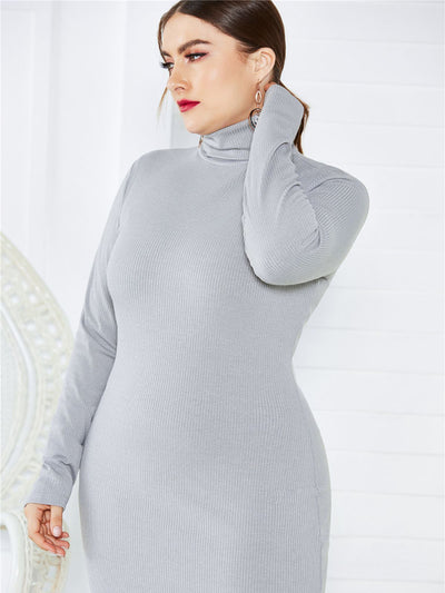 Women's Knit Turtleneck Long Sleeve Dress