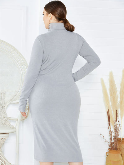 Women's Knit Turtleneck Long Sleeve Dress