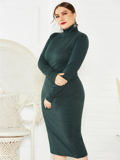 Women's Knit Turtleneck Long Sleeve Dress