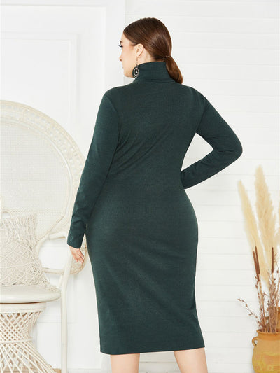 Women's Knit Turtleneck Long Sleeve Dress