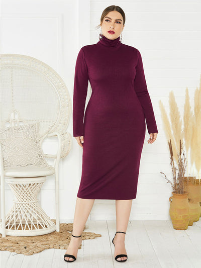 Women's Knit Turtleneck Long Sleeve Dress