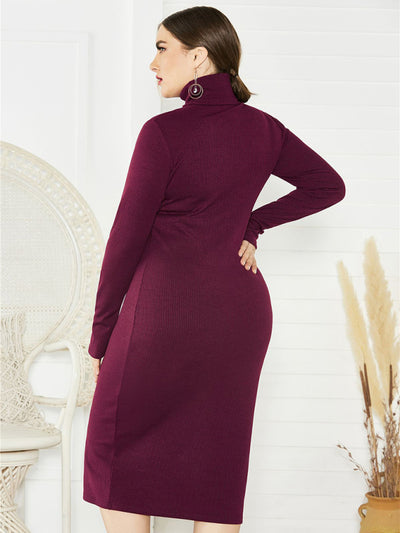Women's Knit Turtleneck Long Sleeve Dress