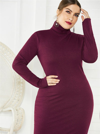 Women's Knit Turtleneck Long Sleeve Dress
