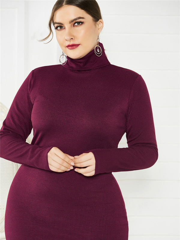 Women's Knit Turtleneck Long Sleeve Dress